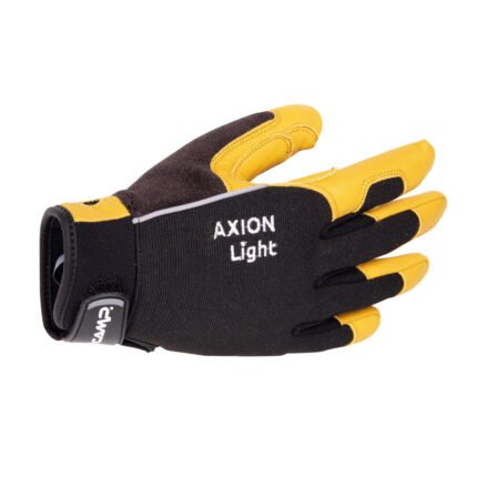 Axion Light